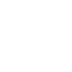 The Technologist